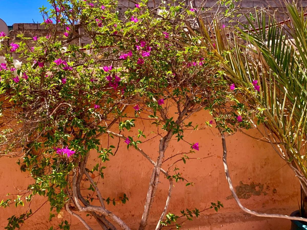 Dar Zemrane Hotel Marrakesh Exterior photo
